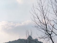 -黄贤森林公园