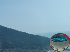 -海合安青岛极地海洋公园