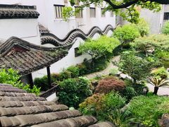 -科巷菜场