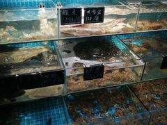 -北戴河庆山饭店·海鲜砂锅粥(北戴河黑石路店)