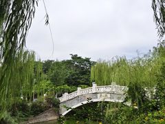 -南翠屏公园