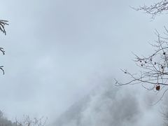 -九峰山