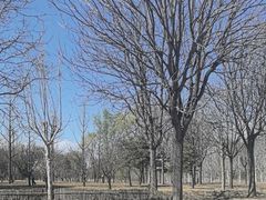 -兴安湖生态运动公园