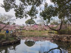 -无锡梅园公园