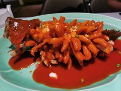 -西湖春天•老字号杭州菜(百汇店)