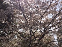 -江南大学(蠡湖校区)