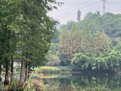 -重庆彩云湖湿地公园