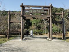 -苏州上方山国家森林公园