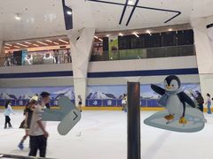 -正佳冰河湾真冰滑冰场
