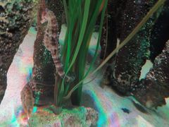 -沈阳海洋探索中心