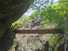 -牛背梁国家森林公园