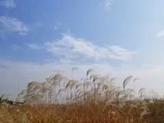 -肯德基(杭州浦沿店)