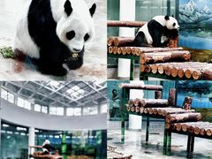 -天津市动物园