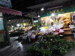 -曲阳花鸟市场(曲阳路店)