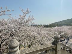 -苏州上方山国家森林公园