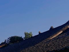 -周血旺老店