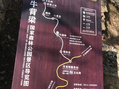 -牛背梁国家森林公园