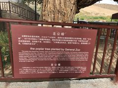 -嘉峪关关城