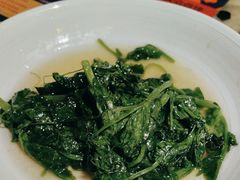 清炒豌豆尖-范家小馆·烤鸭新京菜(金融街店)