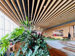 -Seesaw Coffee(朝阳大悦城店)