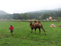 -武陵山森林公园