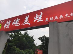 -销魂美蛙鱼头火锅(上海首店)