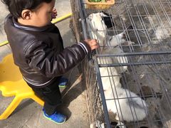 -西安市长乐公园