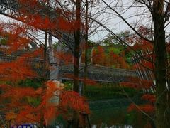 -梅峰山地公园