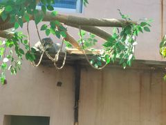 -青藏高原野生动物园