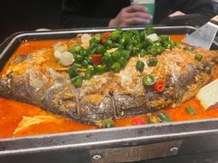 -炉鱼(亲橙里店)