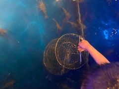 -钳真多钓虾馆·小龙虾海鲜烧烤(九六广场店)