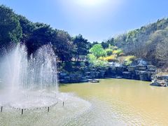 -北京西山国家森林公园