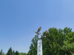 -黑龙江扎龙生态旅游区