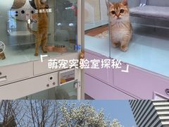 -银座和谐广场