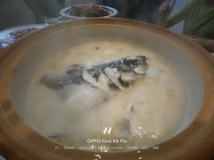 -浔味·山屿湖·正宗淳牌全鱼宴老字号