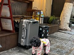 -富桂厨房