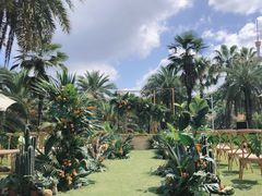 -圣爵菲斯大酒店(长沙世界之窗店)