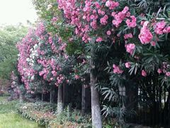 -杭州师范大学(下沙校区)