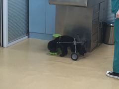 -瑞派·关忠动物医院·猫专科·犬专科(三环新城店)