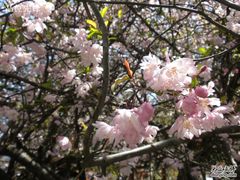 -黄山温泉国际旅游度假区