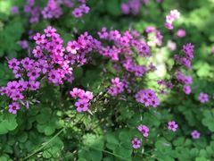 -苏州河梦清园环保主题公园