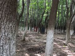 -亲兄弟真人CS团建拓展基地