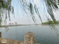 -济南大明湖景区