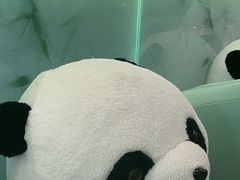 -眉州东坡·熊猫主题餐厅(枫蓝店)
