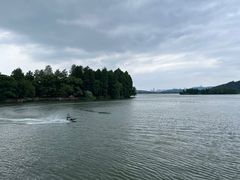 -东湖落雁景区
