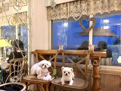 -Vanillacafe香草咖啡(银海大世界店)