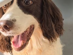 -瑞鹏瑞爱宠物医院·全科·猫科·血液透析中心(龙头寺店)