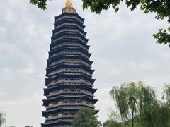 -红梅公园