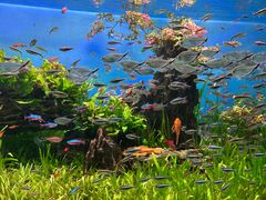 -太平洋海底世界