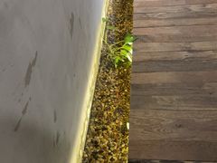 -邈墨茶馆(凤起路店)